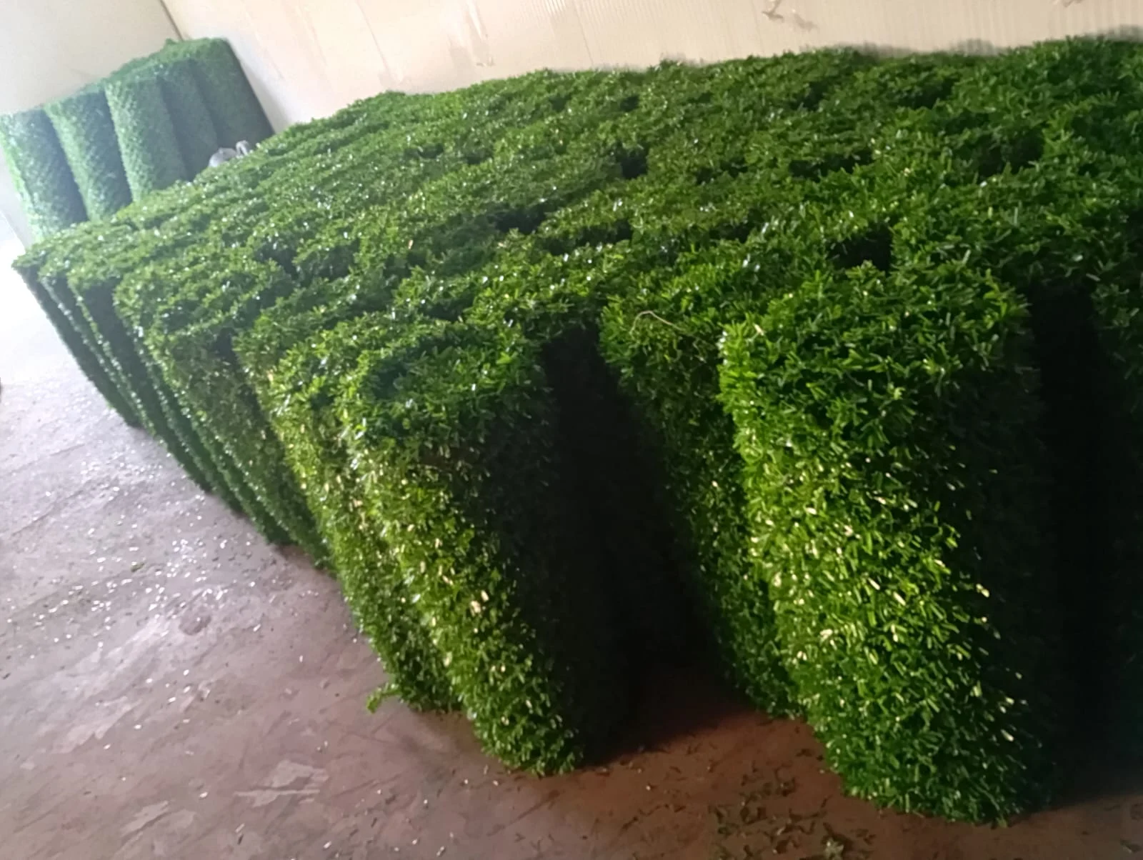 galeri_20260213_111826_0f51620f0d7da88ec10f