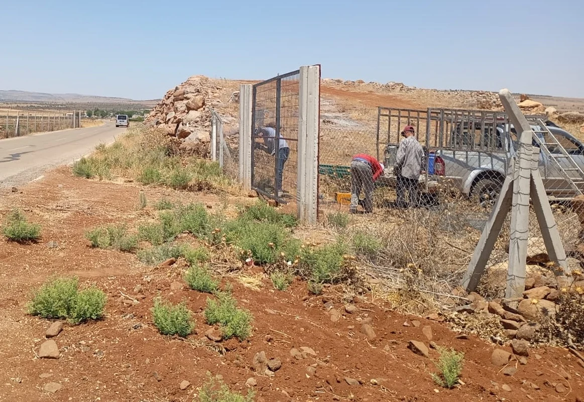 galeri_20260406_094854_82b1a6669964eba5d31a