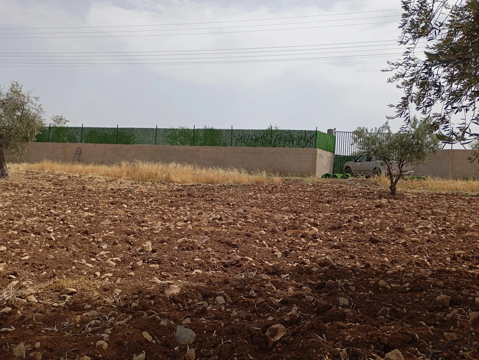 galeri_20260406_094855_dfe2fcbd5f06dd5339e7